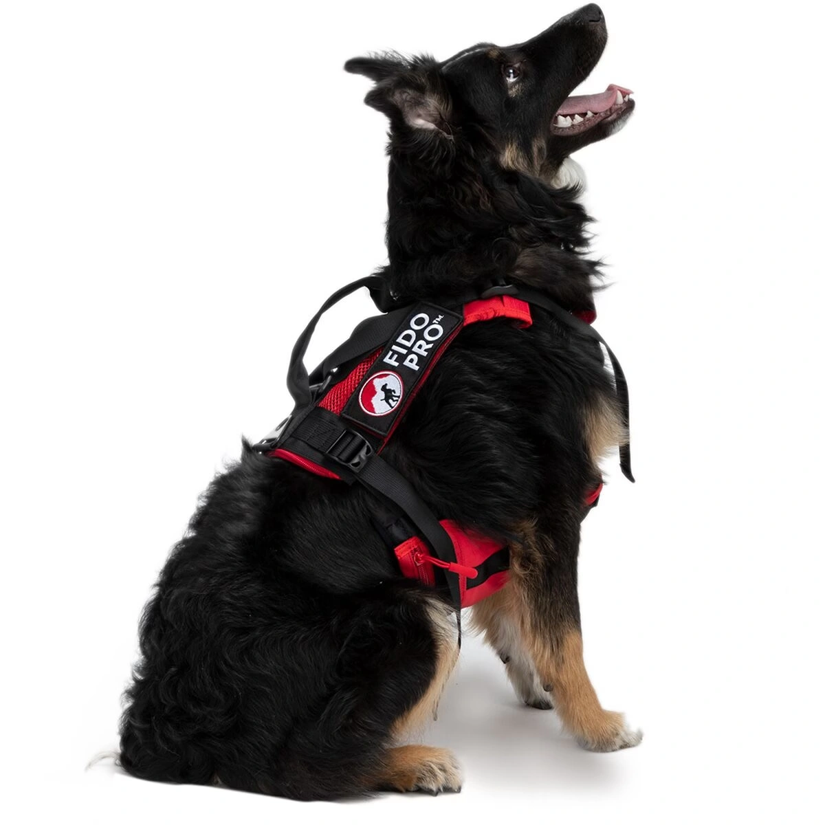 Panza Harness + Deployable Emergency Dog Rescue Sling