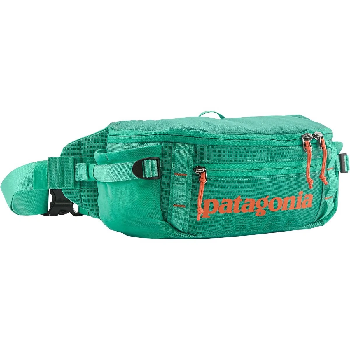 Black Hole 5L Waist Pack