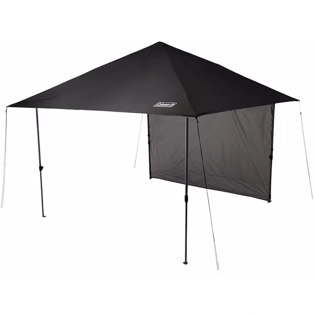 Oasis Lite 10 x 10 Canopy With Sun Wall