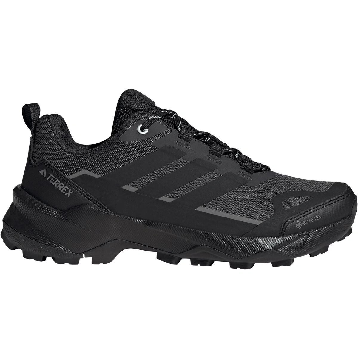Terrex Skychaser AX5 GTX Hiking Shoe - Women's