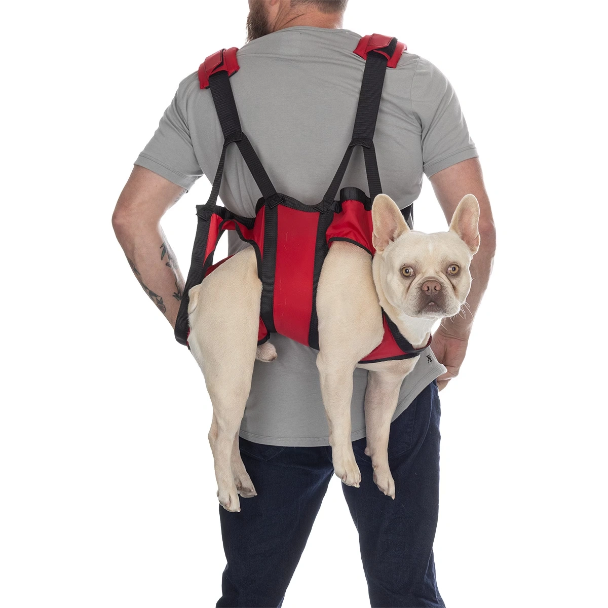 Airlift Emergency Dog Rescue Sling
